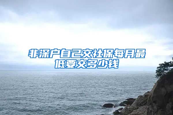 非深户自己交社保每月最低要交多少钱