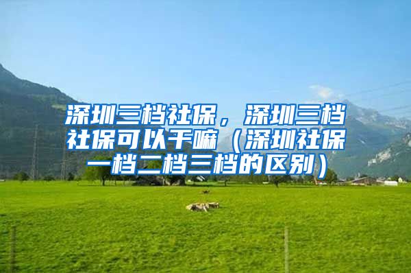 深圳三档社保，深圳三档社保可以干嘛（深圳社保一档二档三档的区别）