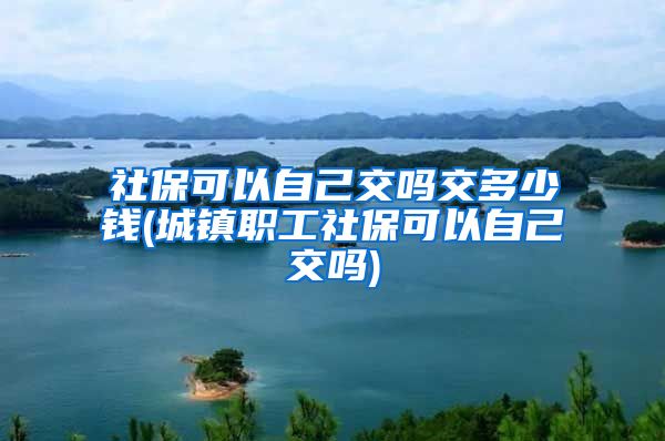 社保可以自己交吗交多少钱(城镇职工社保可以自己交吗)