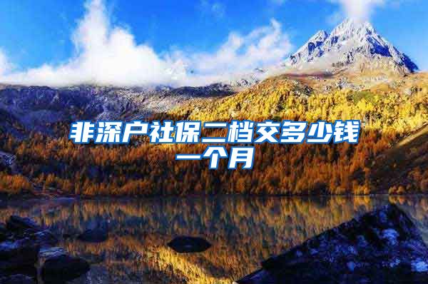 非深户社保二档交多少钱一个月