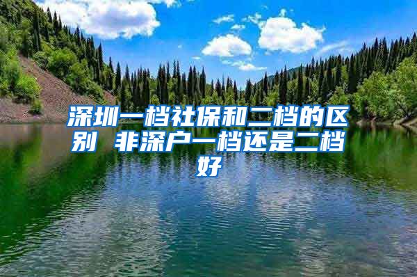 深圳一档社保和二档的区别 非深户一档还是二档好