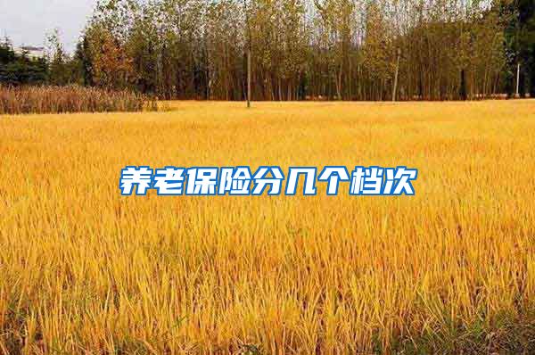 养老保险分几个档次