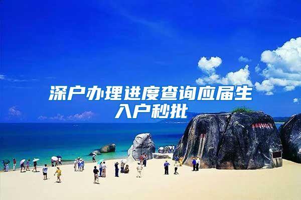 深户办理进度查询应届生入户秒批