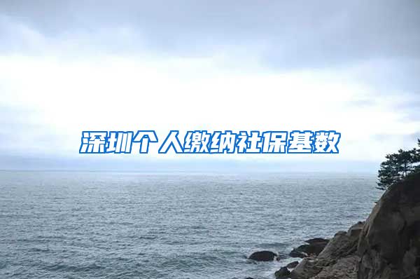 深圳个人缴纳社保基数