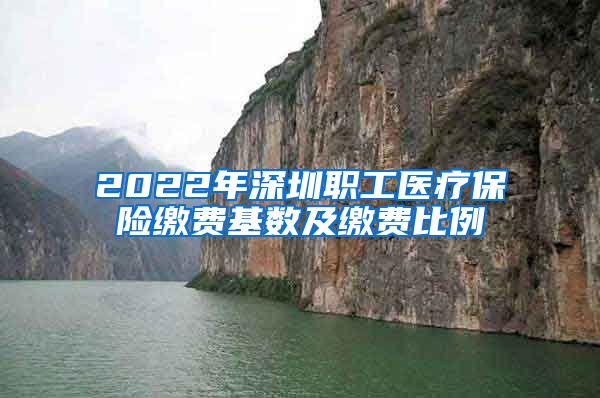 2022年深圳职工医疗保险缴费基数及缴费比例