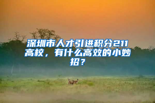 深圳市人才引进积分211高校，有什么高效的小妙招？