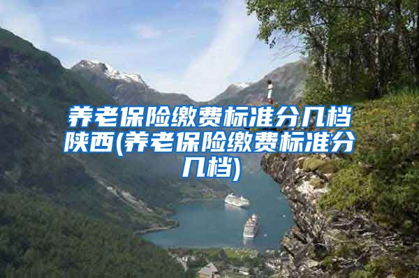 养老保险缴费标准分几档陕西(养老保险缴费标准分几档)