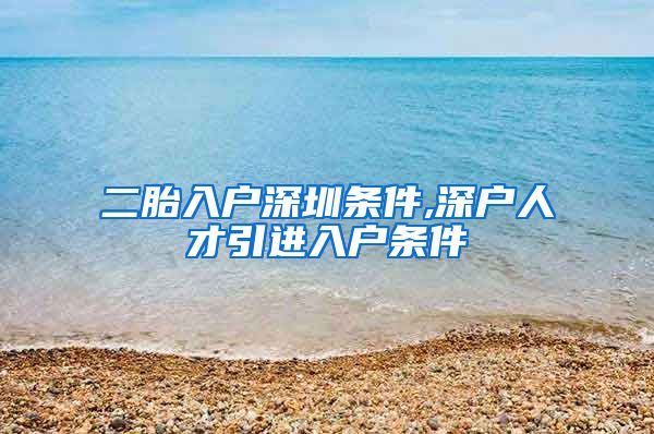 二胎入户深圳条件,深户人才引进入户条件