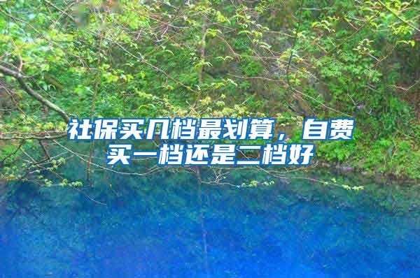 社保买几档最划算，自费买一档还是二档好