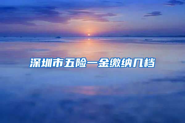 深圳市五险一金缴纳几档