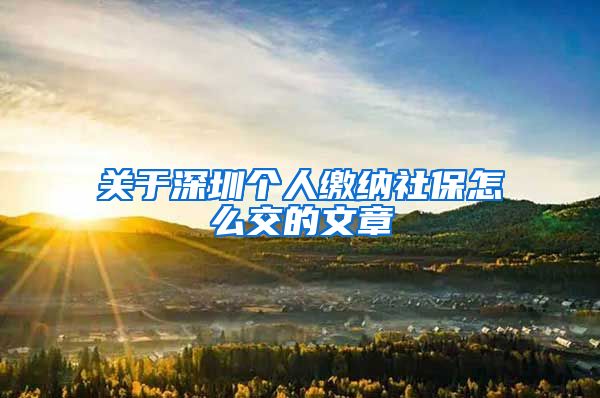 关于深圳个人缴纳社保怎么交的文章