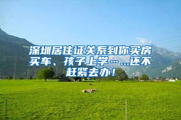 深圳居住证关系到你买房买车、孩子上学…...还不赶紧去办！