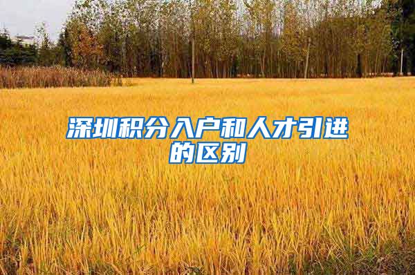 深圳积分入户和人才引进的区别