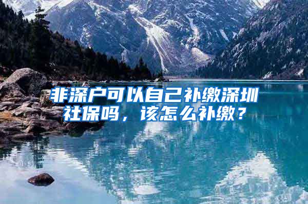非深户可以自己补缴深圳社保吗，该怎么补缴？