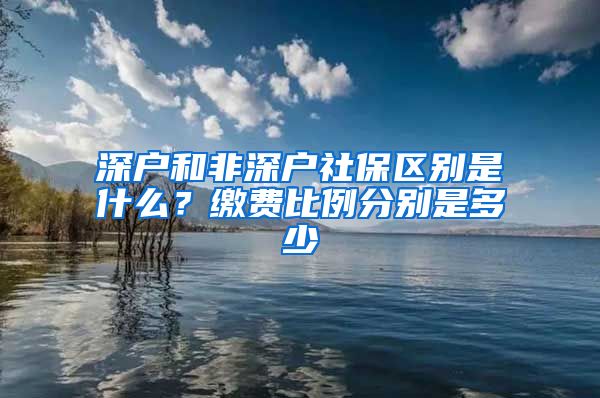 深户和非深户社保区别是什么？缴费比例分别是多少