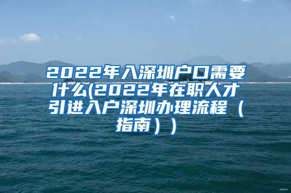 2022年入深圳户口需要什么(2022年在职人才引进入户深圳办理流程（指南）)