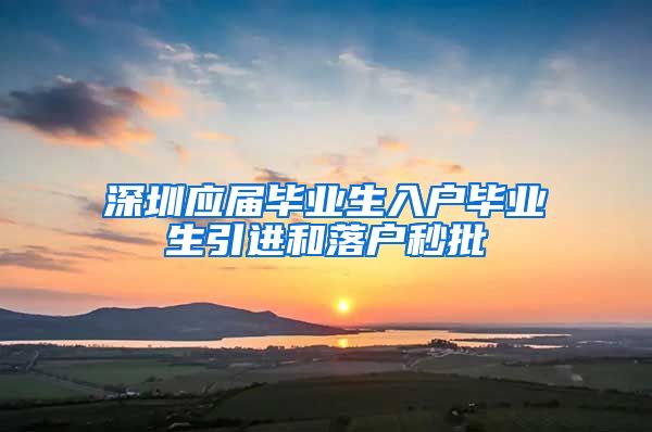 深圳应届毕业生入户毕业生引进和落户秒批