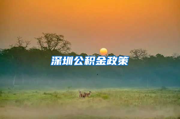 深圳公积金政策