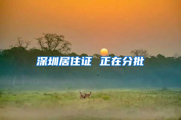 深圳居住证 正在分批
