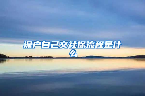 深户自己交社保流程是什么