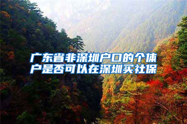 广东省非深圳户口的个体户是否可以在深圳买社保
