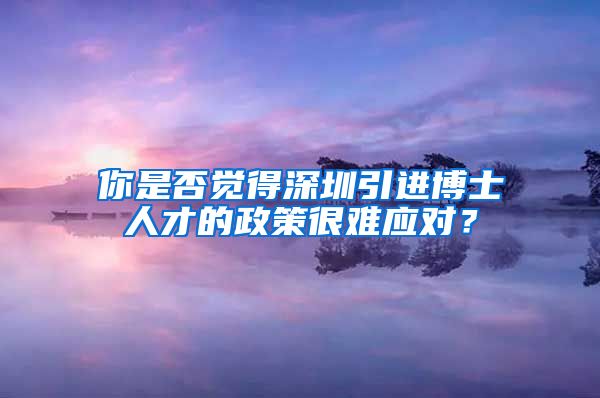 你是否觉得深圳引进博士人才的政策很难应对？