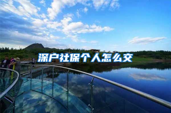 深户社保个人怎么交