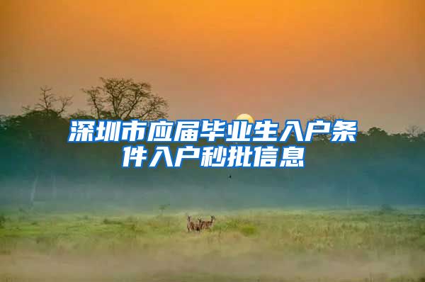 深圳市应届毕业生入户条件入户秒批信息