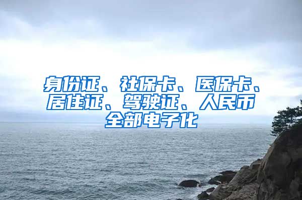 身份证、社保卡、医保卡、居住证、驾驶证、人民币全部电子化