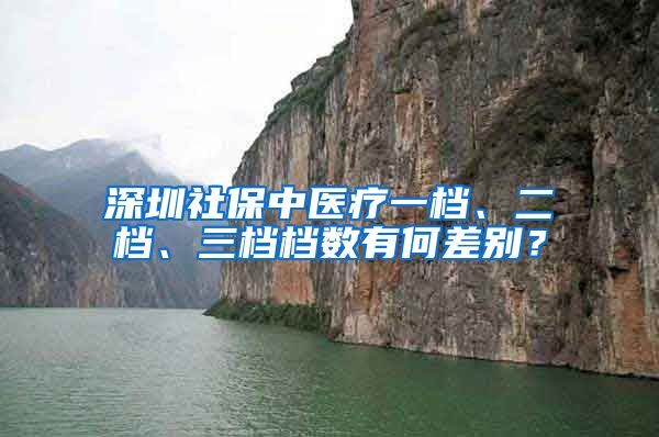 深圳社保中医疗一档、二档、三档档数有何差别？