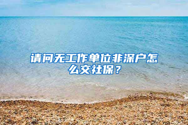 请问无工作单位非深户怎么交社保？
