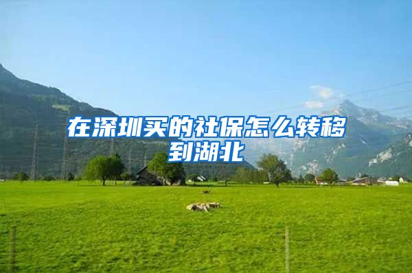 在深圳买的社保怎么转移到湖北