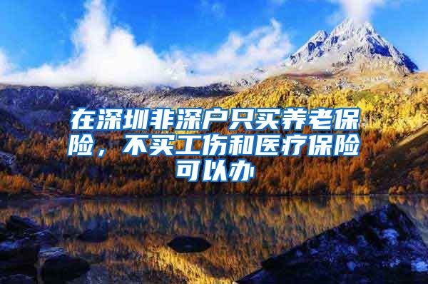 在深圳非深户只买养老保险，不买工伤和医疗保险可以办