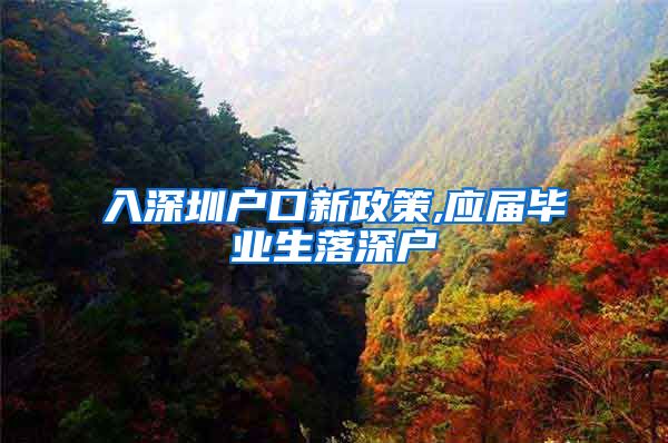 入深圳户口新政策,应届毕业生落深户