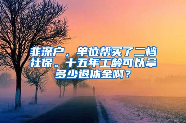 非深户，单位帮买了二档社保。十五年工龄可以拿多少退休金啊？