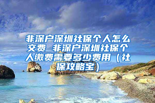 非深户深圳社保个人怎么交费 非深户深圳社保个人缴费需要多少费用（社保攻略宝）