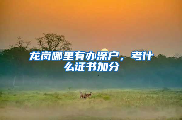 龙岗哪里有办深户，考什么证书加分