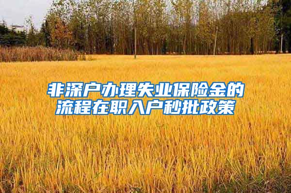 非深户办理失业保险金的流程在职入户秒批政策