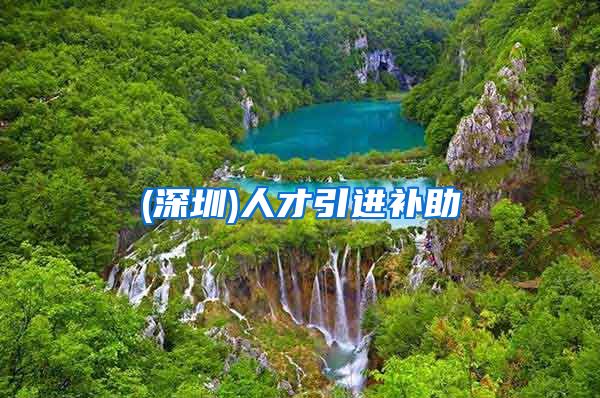 (深圳)人才引进补助