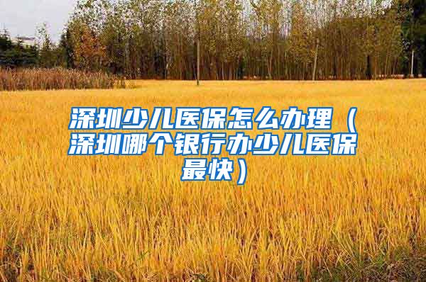 深圳少儿医保怎么办理（深圳哪个银行办少儿医保最快）