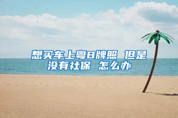 想买车上粤B牌照 但是没有社保 怎么办