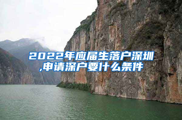 2022年应届生落户深圳,申请深户要什么条件