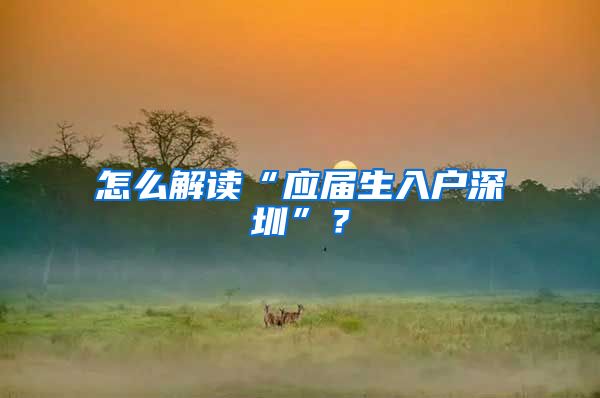 怎么解读“应届生入户深圳”？