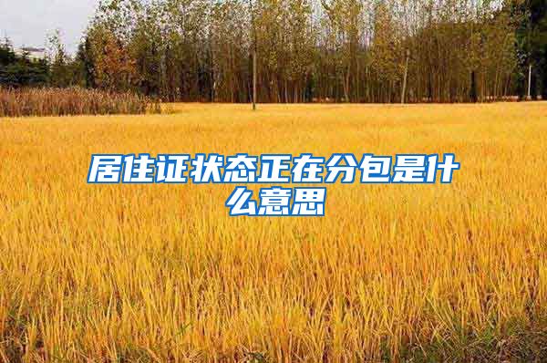 居住证状态正在分包是什么意思