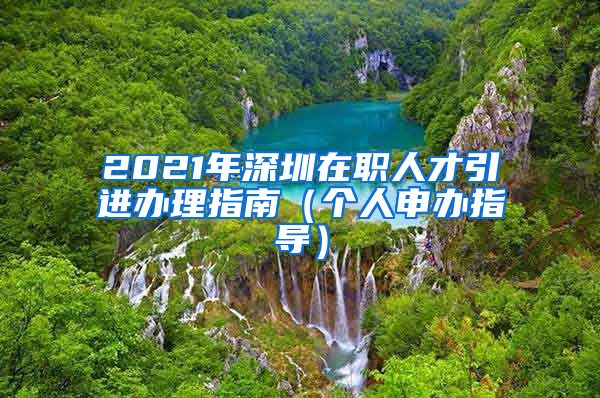 2021年深圳在职人才引进办理指南（个人申办指导）