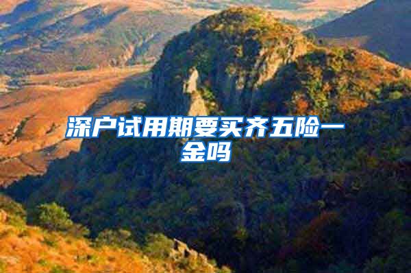 深户试用期要买齐五险一金吗