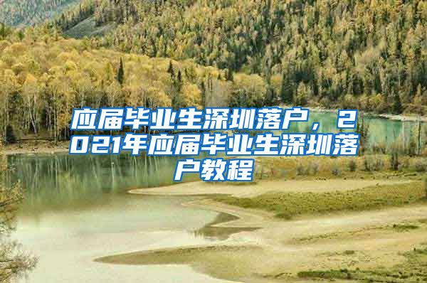 应届毕业生深圳落户，2021年应届毕业生深圳落户教程
