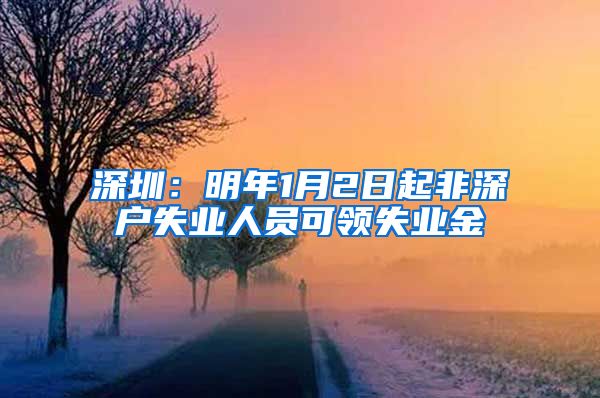 深圳：明年1月2日起非深户失业人员可领失业金