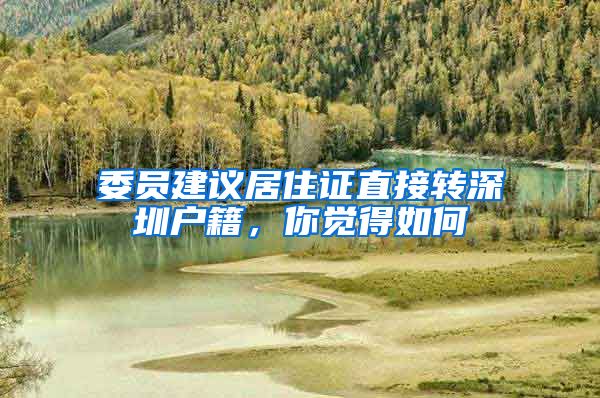 委员建议居住证直接转深圳户籍，你觉得如何