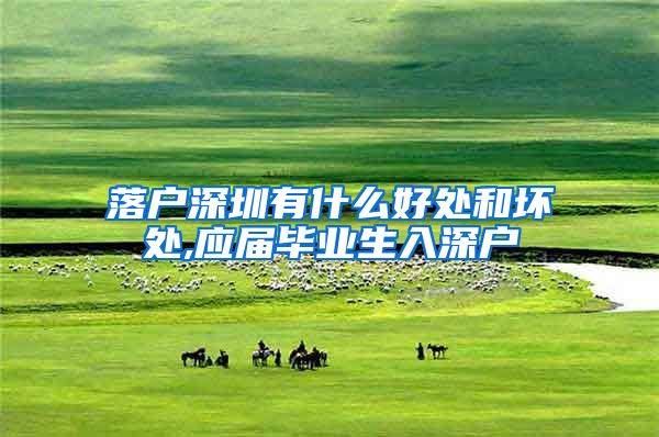 落户深圳有什么好处和坏处,应届毕业生入深户